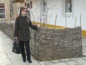 Фотография Князев Евгений