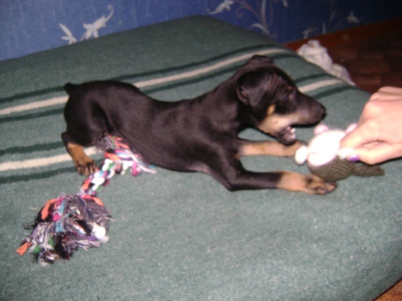 Tris Treymak фотография #18