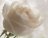 Фотография Екимовой Татьяны