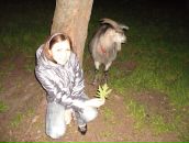 Аліночка Давиденко фотография #32 (источник - https://vk.com/id58609639)