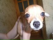 Фотография Дрокиной Варвары