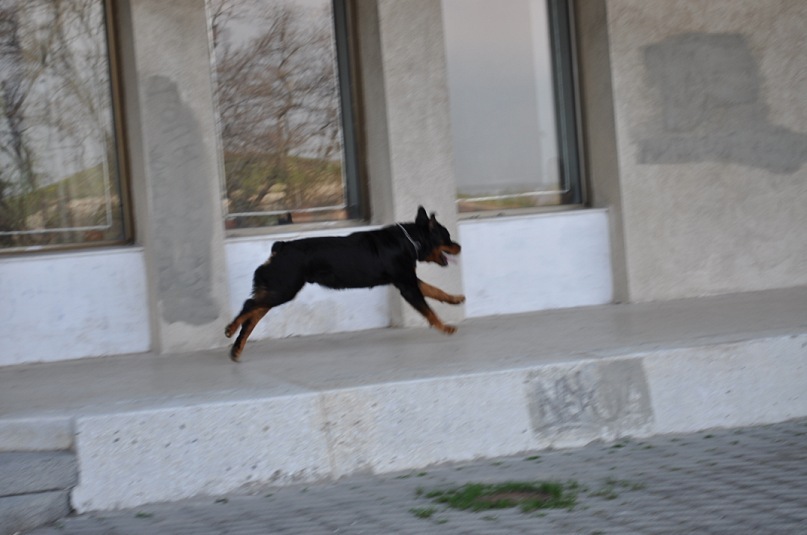 Роман Опальчук фотография #39