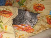 Фотография Мацинкевич Ирины