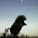 Фотография Стадника Александра