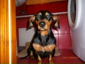 Арсен Вітамін фотография #12 (источник - https://vk.com/id9726360)