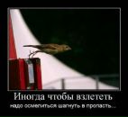 Юра Іванонько фотография #20 (источник - https://vk.com/id12110612)