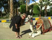 Фотография Шпык Елены