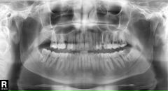 Фотография Анучина Сергея