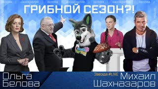 Грибной сезон?!